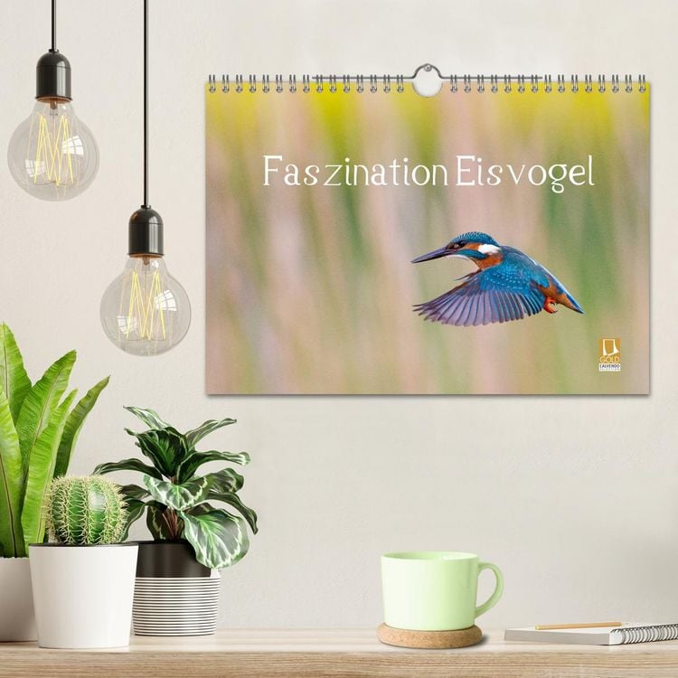 Produktbild: Faszination Eisvogel (Wandkalender 2026 DIN A4 quer), CALVENDO Monatskalender