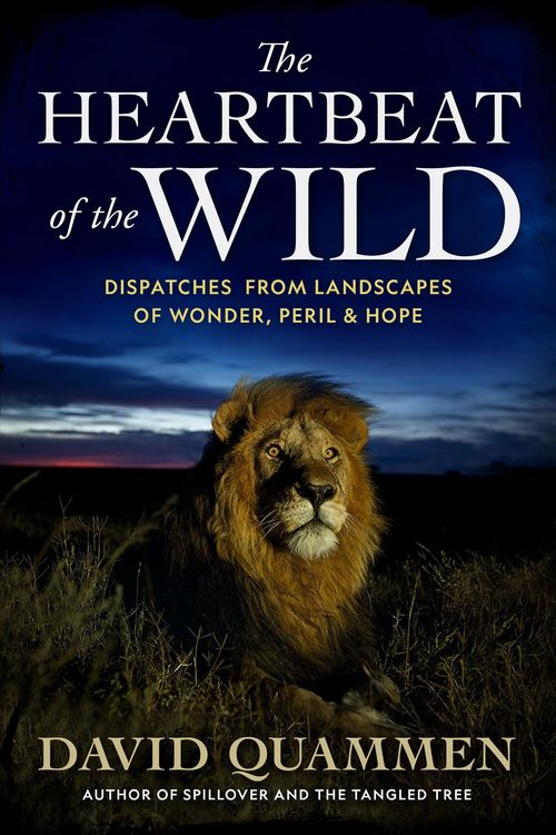 Produktbild: The Heartbeat of the Wild