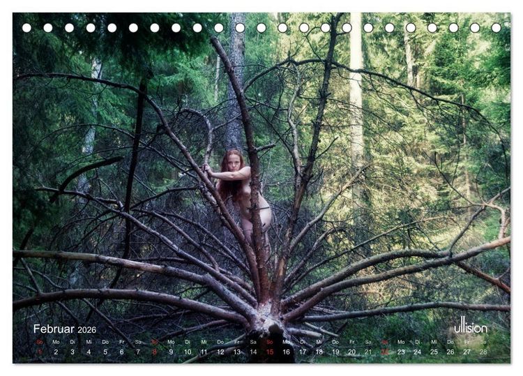 Produktbild: ZAUBERWALD Mystik der Natur (Tischkalender 2026 DIN A5 quer), CALVENDO Monatskalender