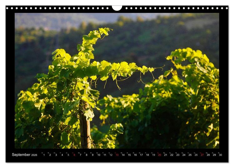 Produktbild: Wein (Wandkalender 2026 DIN A3 quer), CALVENDO Monatskalender