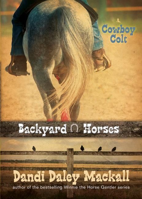 Produktbild: Backyard Horses: Cowboy Colt