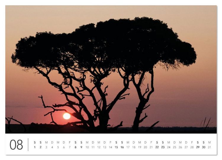 Produktbild: S&uuml;dafrika Garden Route (Wandkalender 2026 DIN A4 quer), CALVENDO Monatskalender