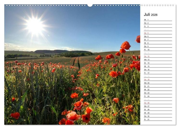 Produktbild: Ein Traum von Mohn (Wandkalender 2026 DIN A2 quer), CALVENDO Monatskalender