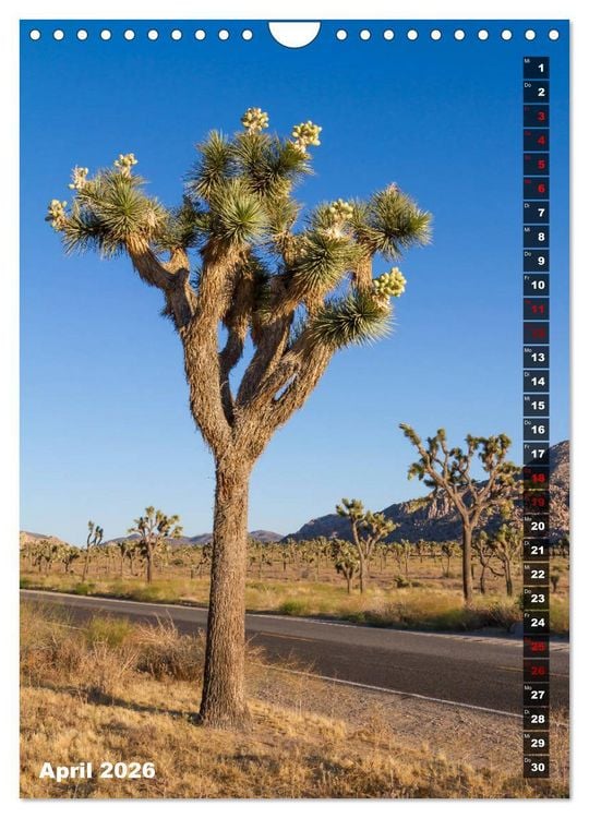 Produktbild: Impressionen aus dem JOSHUA TREE NATIONAL PARK (Wandkalender 2026 DIN A4 hoch), CALVENDO Monatskalender