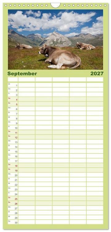 Produktbild: Familienplaner 2027 - Tierkalender 2027 mit 5 Spalten (Wandkalender, 21 x 45 cm) CALVENDO