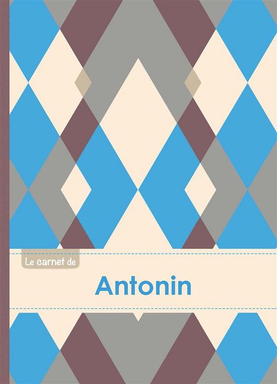 Produktbild: Le carnet d antonin lignes, 96p,