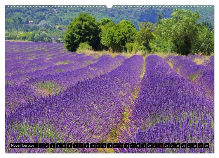 Produktbild: Lavendel (hochwertiger Premium Wandkalender 2026 DIN A2 quer), Kunstdruck in Hochglanz