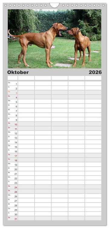 Produktbild: Familienplaner 2026 - Rhodesian Ridgeback - Moments mit 5 Spalten (Wandkalender, 21 x 45 cm) CALVENDO
