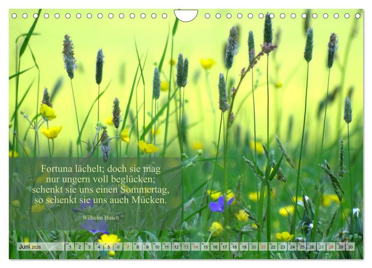 Produktbild: Weises (Wandkalender 2026 DIN A4 quer), CALVENDO Monatskalender