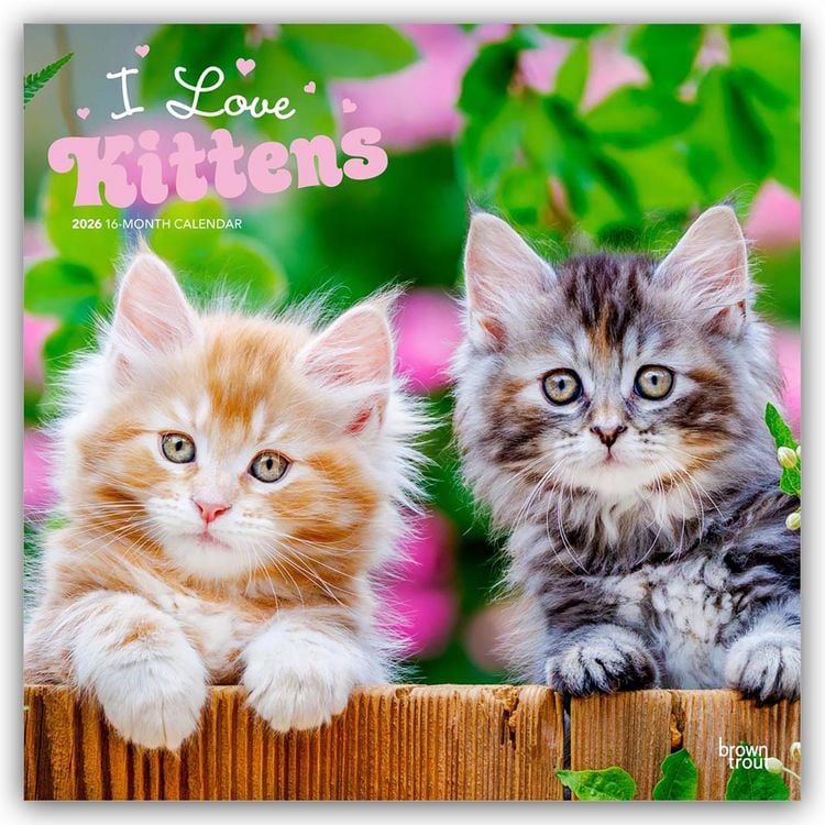 Produktbild: I Love Kittens – Ich liebe Katzenbabys 2026 – 16-Monatskalender