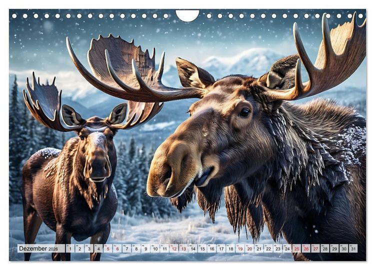 Produktbild: Im magischen Reich der Elche (Wandkalender 2026 DIN A4 quer), CALVENDO Monatskalender