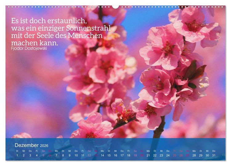Produktbild: FASZINATION MANDELBL&Uuml;TE (hochwertiger Premium Wandkalender 2026 DIN A2 quer), Kunstdruck in Hochglanz