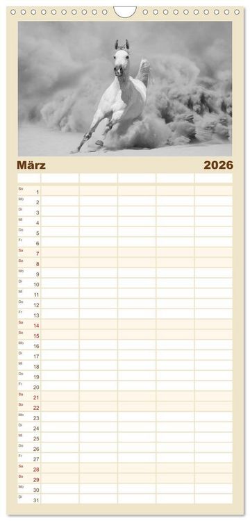 Produktbild: Familienplaner 2026 - Arabische Pferde mit 5 Spalten (Wandkalender, 21 x 45 cm) CALVENDO