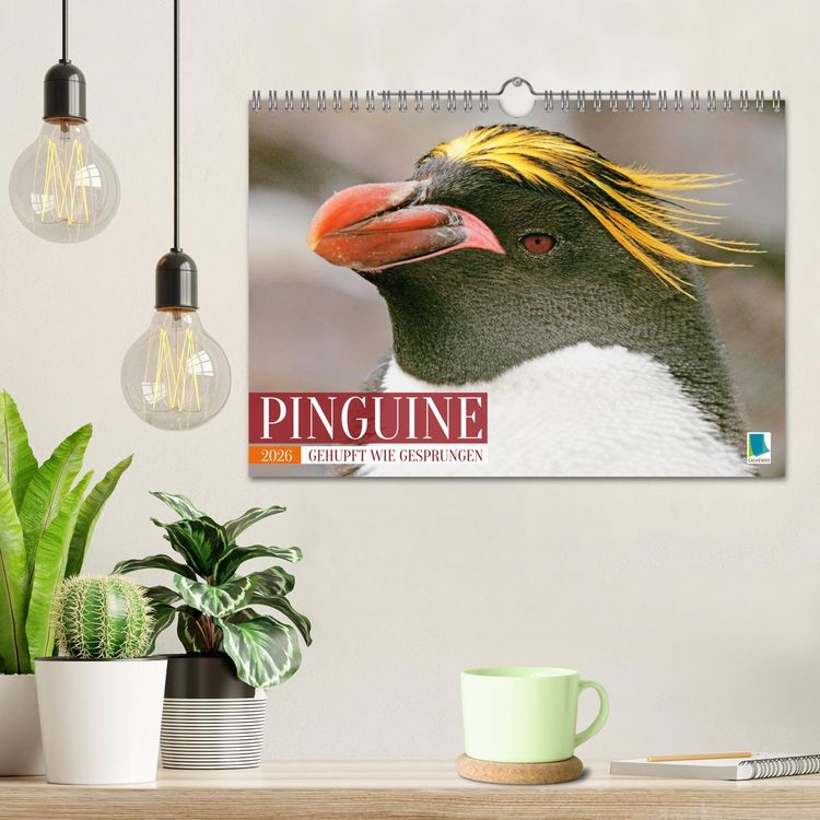 Produktbild: Pinguine: Gehupft wie gesprungen (Wandkalender 2026 DIN A4 quer), CALVENDO Monatskalender
