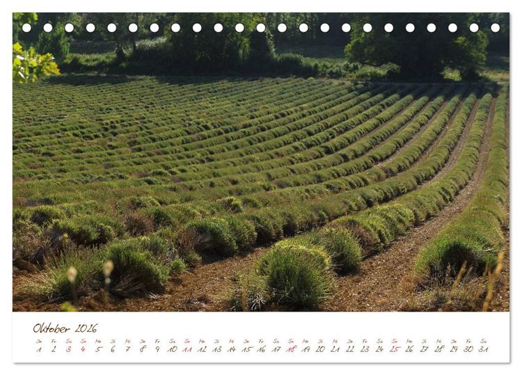 Produktbild: Provence, Frankreich (Tischkalender 2026 DIN A5 quer), CALVENDO Monatskalender