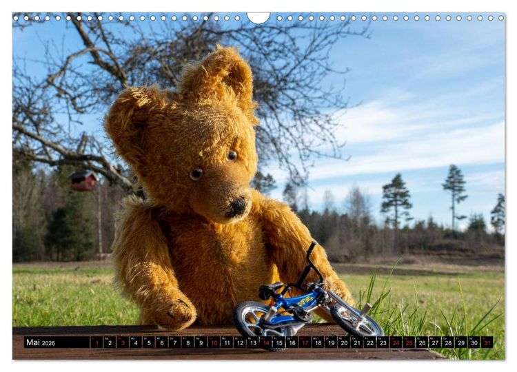 Produktbild: Neue Abenteuer von Teddy Basse (Wandkalender 2026 DIN A3 quer), CALVENDO Monatskalender
