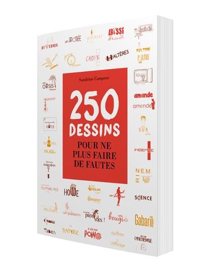 Produktbild: 250 dessins pour ne plus faire de fautes