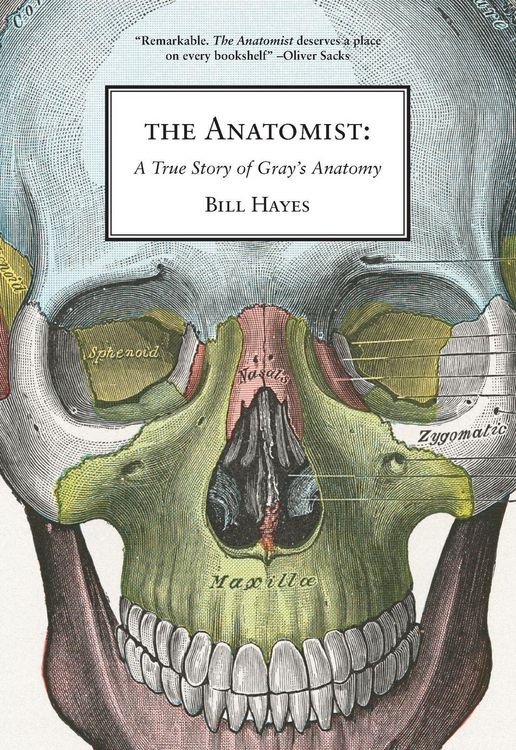 Produktbild: The Anatomist
