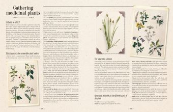 Produktbild: 100 Plants That Heal