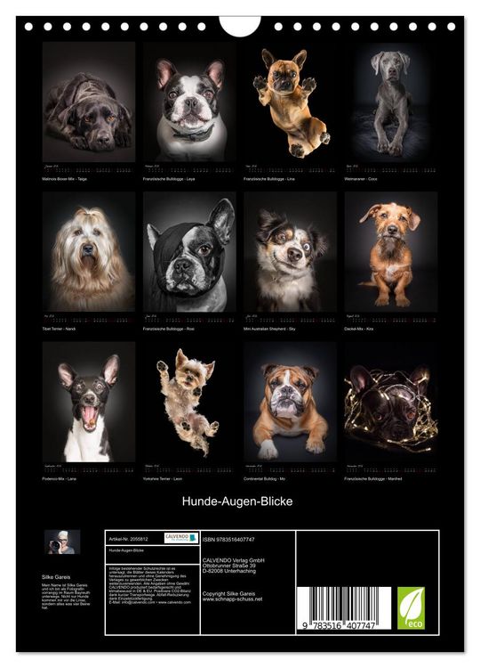 Produktbild: Hunde-Augen-Blicke (Wandkalender 2026 DIN A4 hoch), CALVENDO Monatskalender