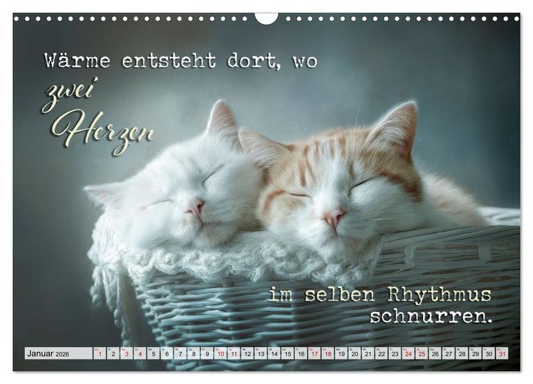 Produktbild: Katzenpoesie - Herzber&uuml;hrende Verse (Wandkalender 2026 DIN A3 quer), CALVENDO Monatskalender