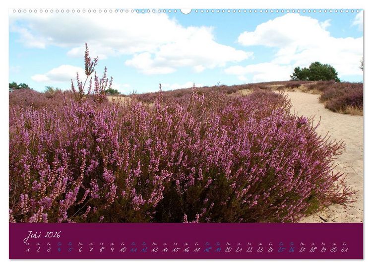 Produktbild: Die Nemitzer Heide - Im Wendland unterwegs (Wandkalender 2026 DIN A2 quer), CALVENDO Monatskalender
