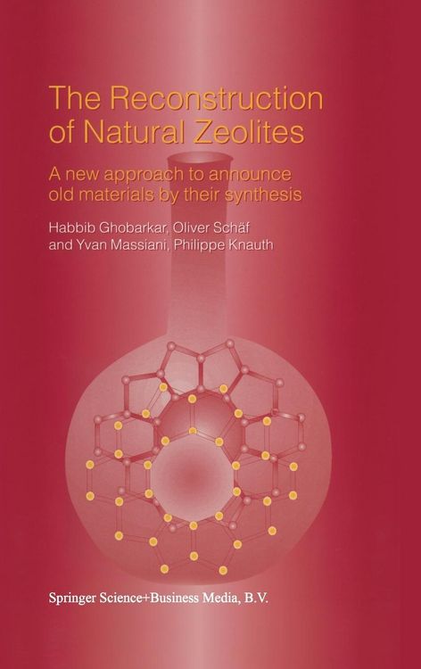 Produktbild: The Reconstruction of Natural Zeolites