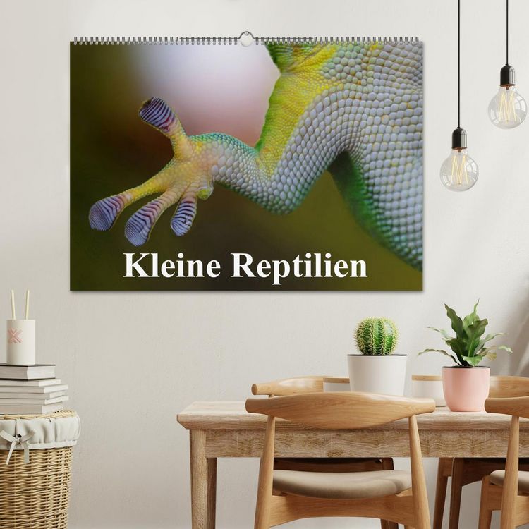 Produktbild: Kleine Reptilien (Wandkalender 2026 DIN A2 quer), CALVENDO Monatskalender
