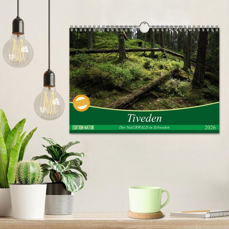 Produktbild: Tiveden, der NatURWALD in Schweden (Wandkalender 2026 DIN A4 quer), CALVENDO Monatskalender