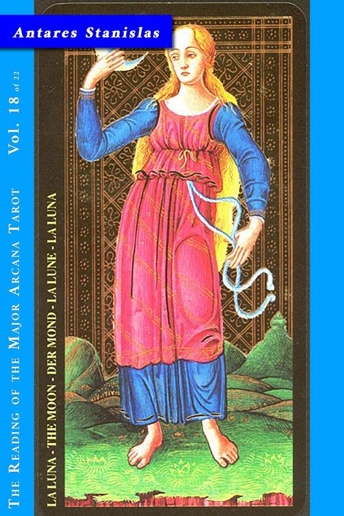 Produktbild: The Moon - Vol.18 of 22 (Reading the Major Arcana Tarot, #18)