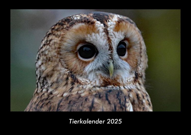 Produktbild: Tierkalender 2025 Fotokalender DIN A3