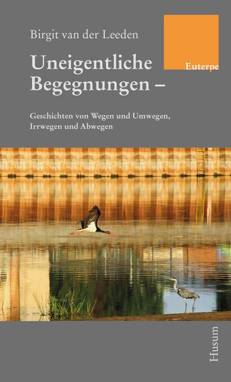 Produktbild: Uneigentliche Begegnungen