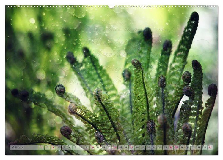Produktbild: Vintage Nature - Romantische Naturaufnahmen (Wandkalender 2026 DIN A2 quer), CALVENDO Monatskalender