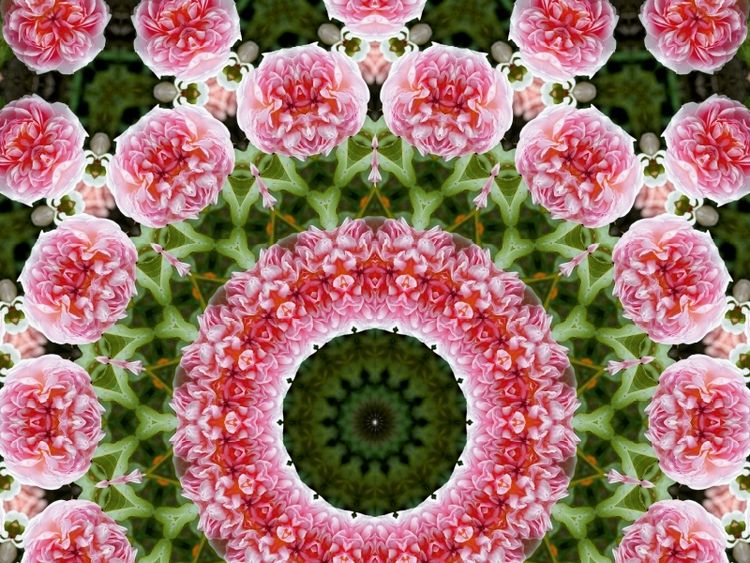 Produktbild: CALVENDO Puzzle Blumen Mandala - Kaleidoskop | 1000 Teile Lege-Gr&ouml;&szlig;e 64x48cm Foto-Puzzle f&uuml;r gl&uuml;ckliche Stunden