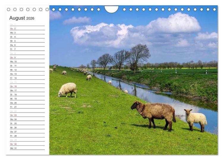 Produktbild: Ostfriesland - zwischen Watt und Moor (Wandkalender 2026 DIN A4 quer), CALVENDO Monatskalender