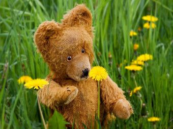 Produktbild: CALVENDO Puzzle Die ersten Blumen | 1000 Teile Lege-Gr&ouml;&szlig;e 64x48cm Foto-Puzzle f&uuml;r gl&uuml;ckliche Stunden