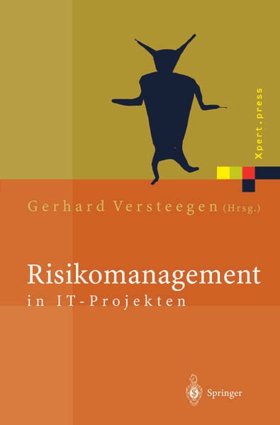 Produktbild: Risikomanagement in IT-Projekten