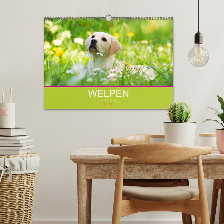 Produktbild: Welpen im Fr&uuml;hling (Wandkalender 2026 DIN A3 quer), CALVENDO Monatskalender