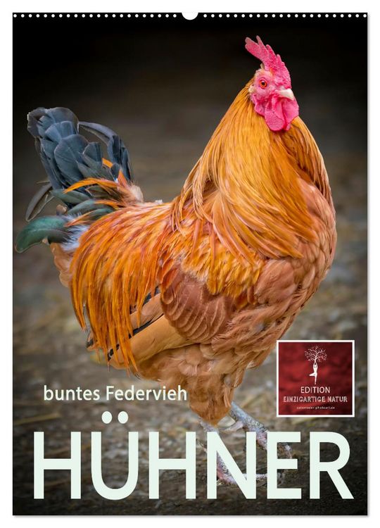 Produktbild: H&uuml;hner - buntes Federvieh (Wandkalender 2026 DIN A2 hoch), CALVENDO Monatskalender