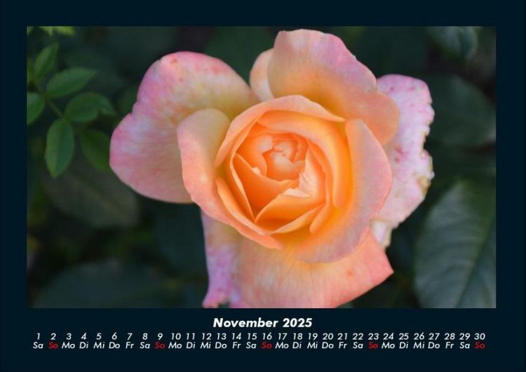 Produktbild: Blumenkalender 2025 Fotokalender DIN A4