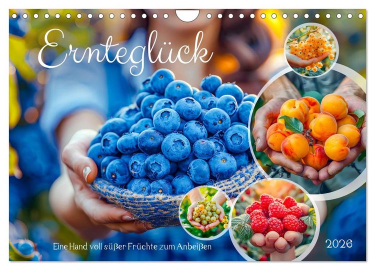 Produktbild: Erntegl&uuml;ck - Eine handvoll s&uuml;&szlig;er Fr&uuml;chte zum Anbei&szlig;en (Wandkalender 2026 DIN A4 quer), CALVENDO Monatskalender