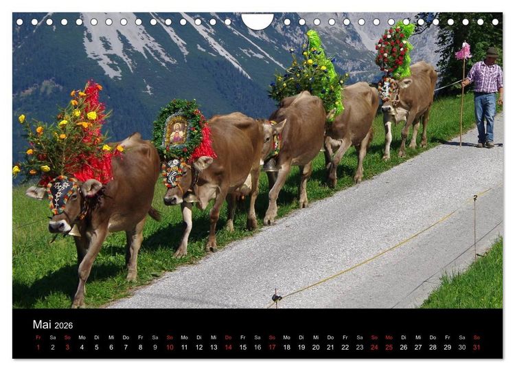 Produktbild: Almabtrieb in Tirol (Wandkalender 2026 DIN A4 quer), CALVENDO Monatskalender