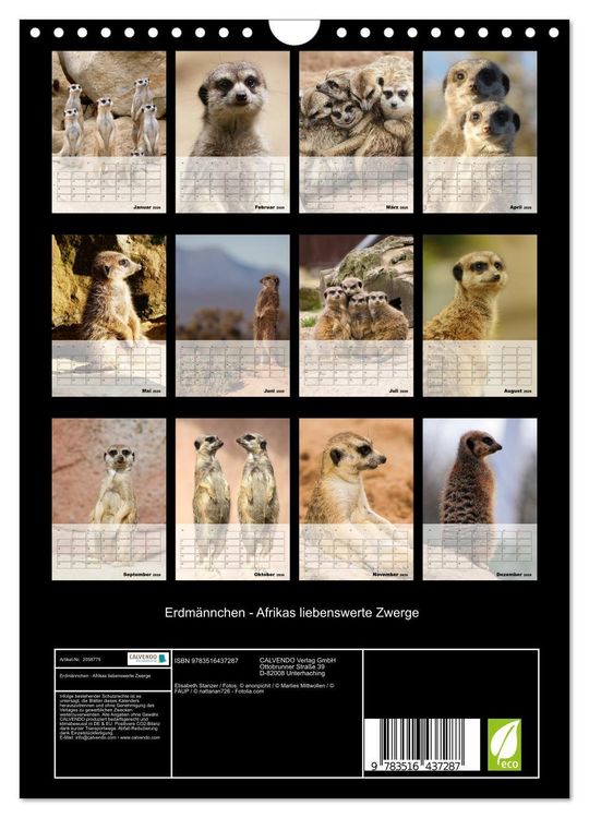 Produktbild: Erdm&auml;nnchen - Afrikas liebenswerte Zwerge (Wandkalender 2026 DIN A4 hoch), CALVENDO Monatskalender