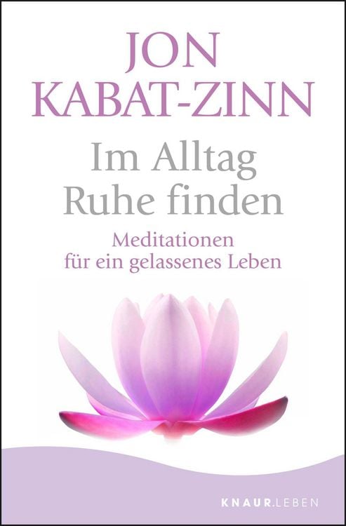 Bild vom Artikel Im Alltag Ruhe finden vom Autor Jon Kabat Zinn