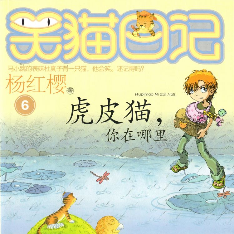 Produktbild: 虎皮猫，你在哪里