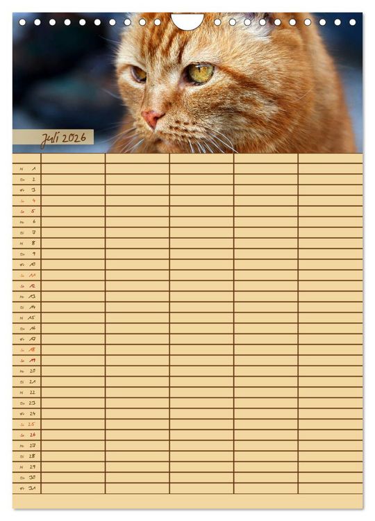 Produktbild: Tierischer Familienplaner (Wandkalender 2026 DIN A4 hoch), CALVENDO Monatskalender