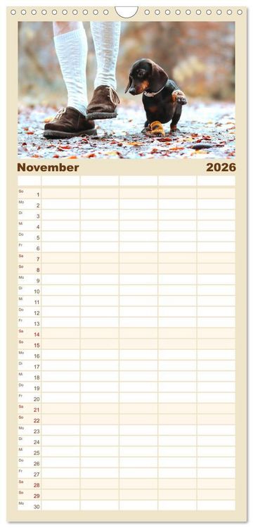 Produktbild: Familienplaner 2026 - Der Dackel mit 5 Spalten (Wandkalender, 21 x 45 cm) CALVENDO