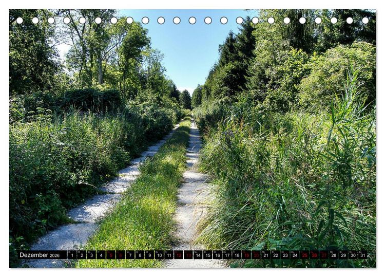 Produktbild: Das idyllische Usedom (Tischkalender 2026 DIN A5 quer), CALVENDO Monatskalender