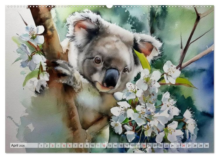 Produktbild: Koalas, liebenswerte kleine Schlafm&uuml;tzen (hochwertiger Premium Wandkalender 2026 DIN A2 quer), Kunstdruck in Hochglanz