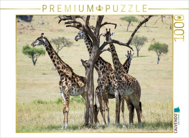 Produktbild: CALVENDO Puzzle Giraffen in der Masai Mara | 1000 Teile Lege-Gr&ouml;&szlig;e 64x48cm Foto-Puzzle f&uuml;r gl&uuml;ckliche Stunden